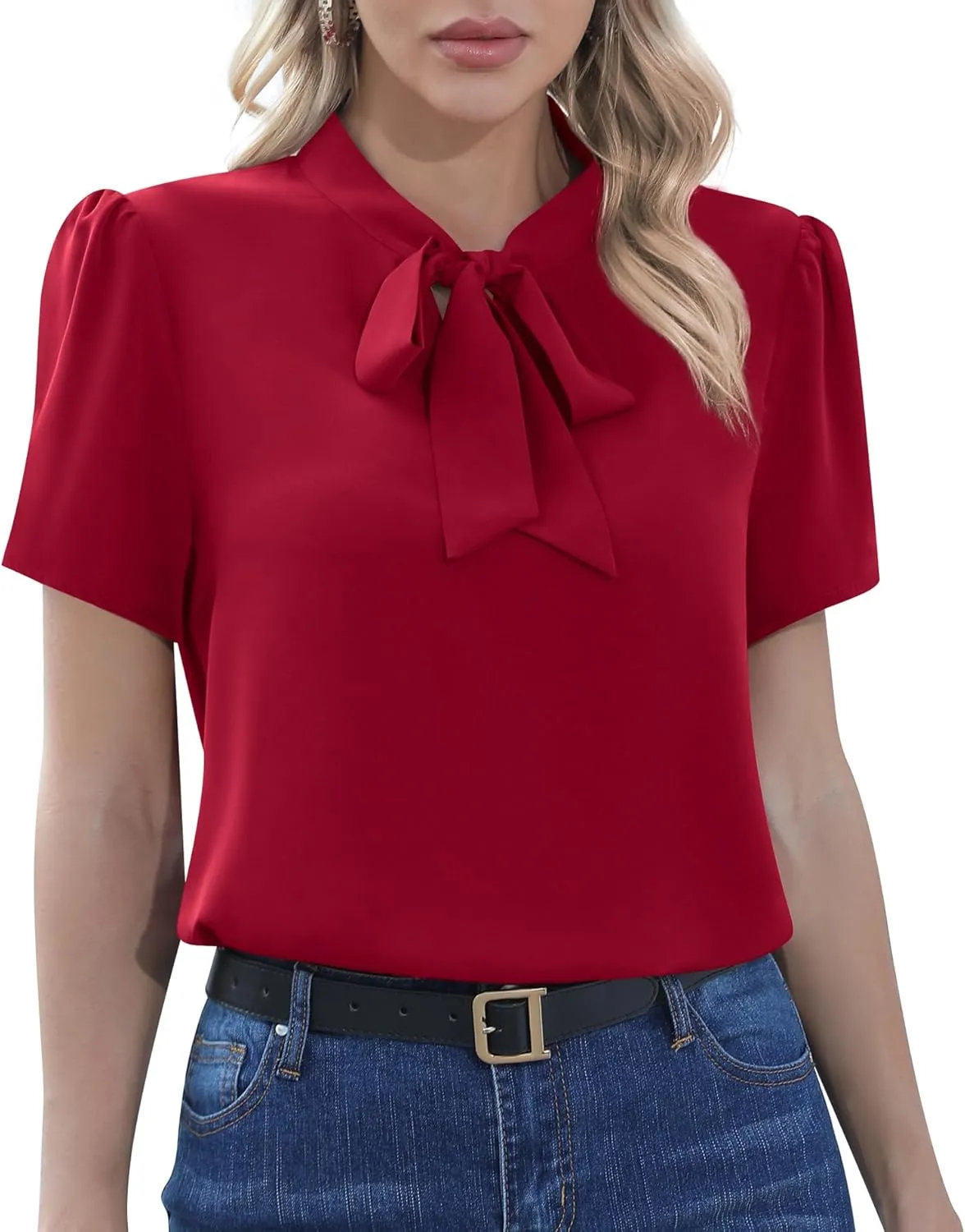 CZYINXIAN Womens Dressy Chiffon Blouse Business Work Casual Tie Neck Shirt Tops